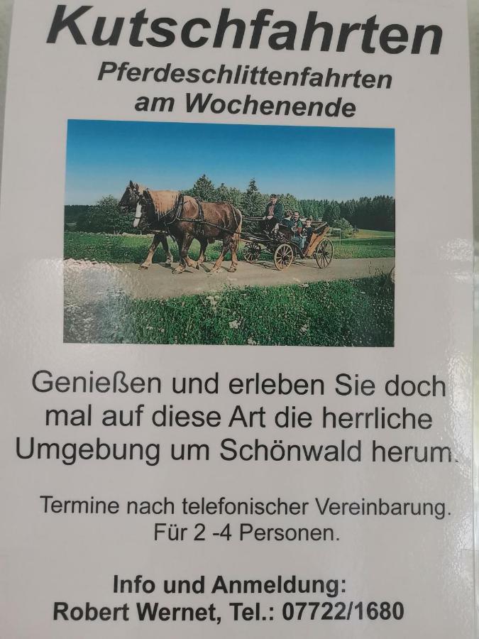 Ferienwohnung Schoene Wohnung 2D-Gebaeude Mit Mini-Garten Schönwald Luaran gambar