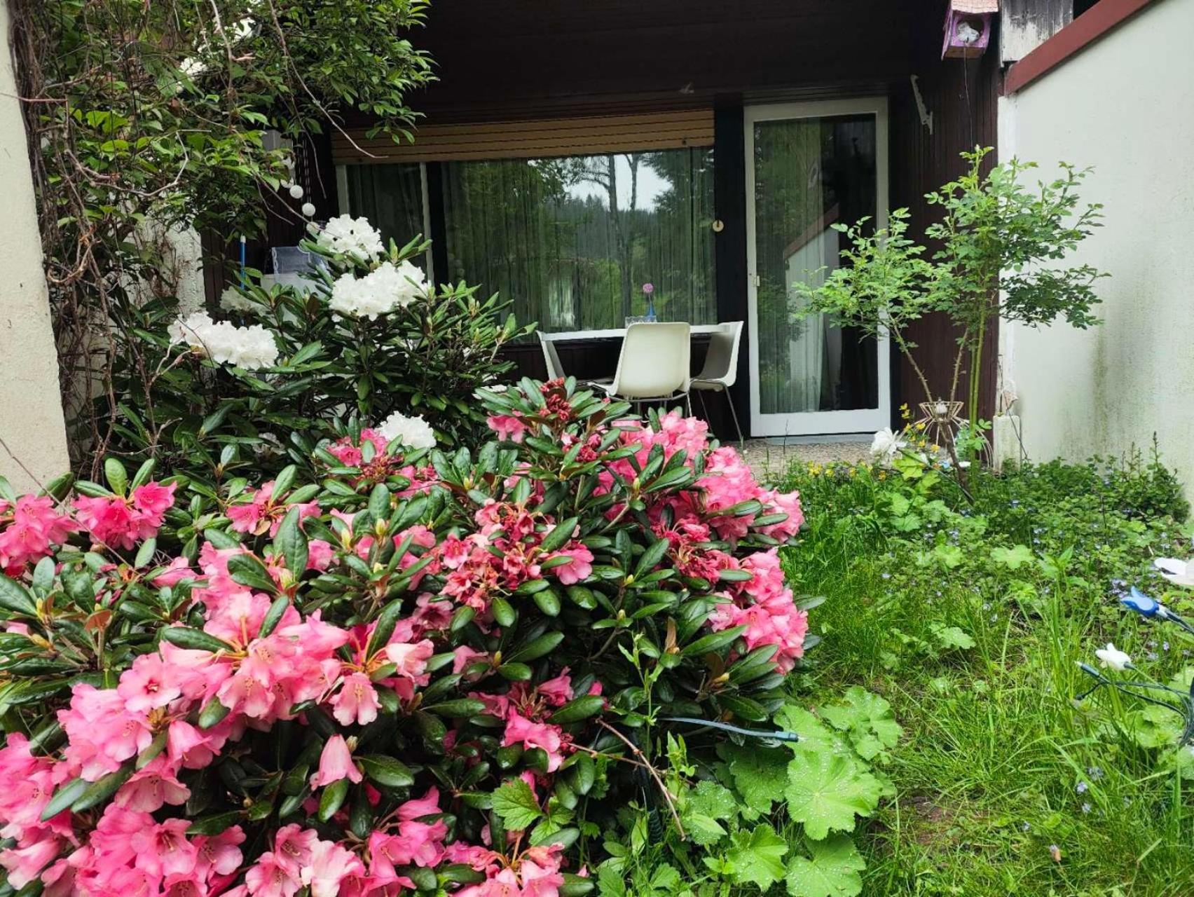 Ferienwohnung Schoene Wohnung 2D-Gebaeude Mit Mini-Garten Schönwald Luaran gambar