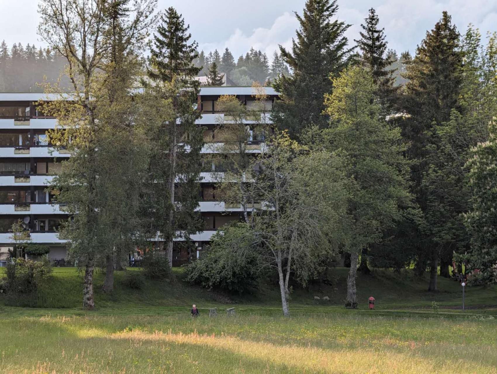 Ferienwohnung Schoene Wohnung 2D-Gebaeude Mit Mini-Garten Schönwald Luaran gambar