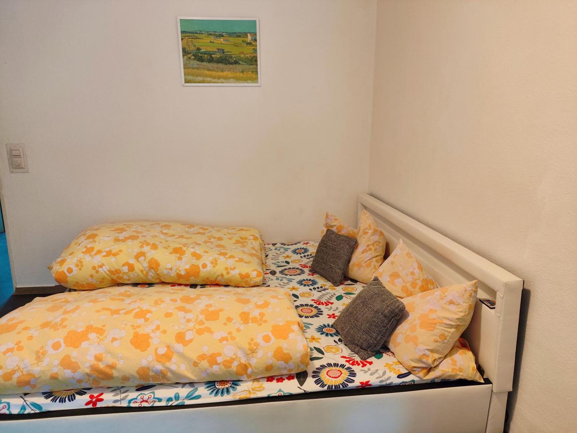 Ferienwohnung Schoene Wohnung 2D-Gebaeude Mit Mini-Garten Schönwald Luaran gambar